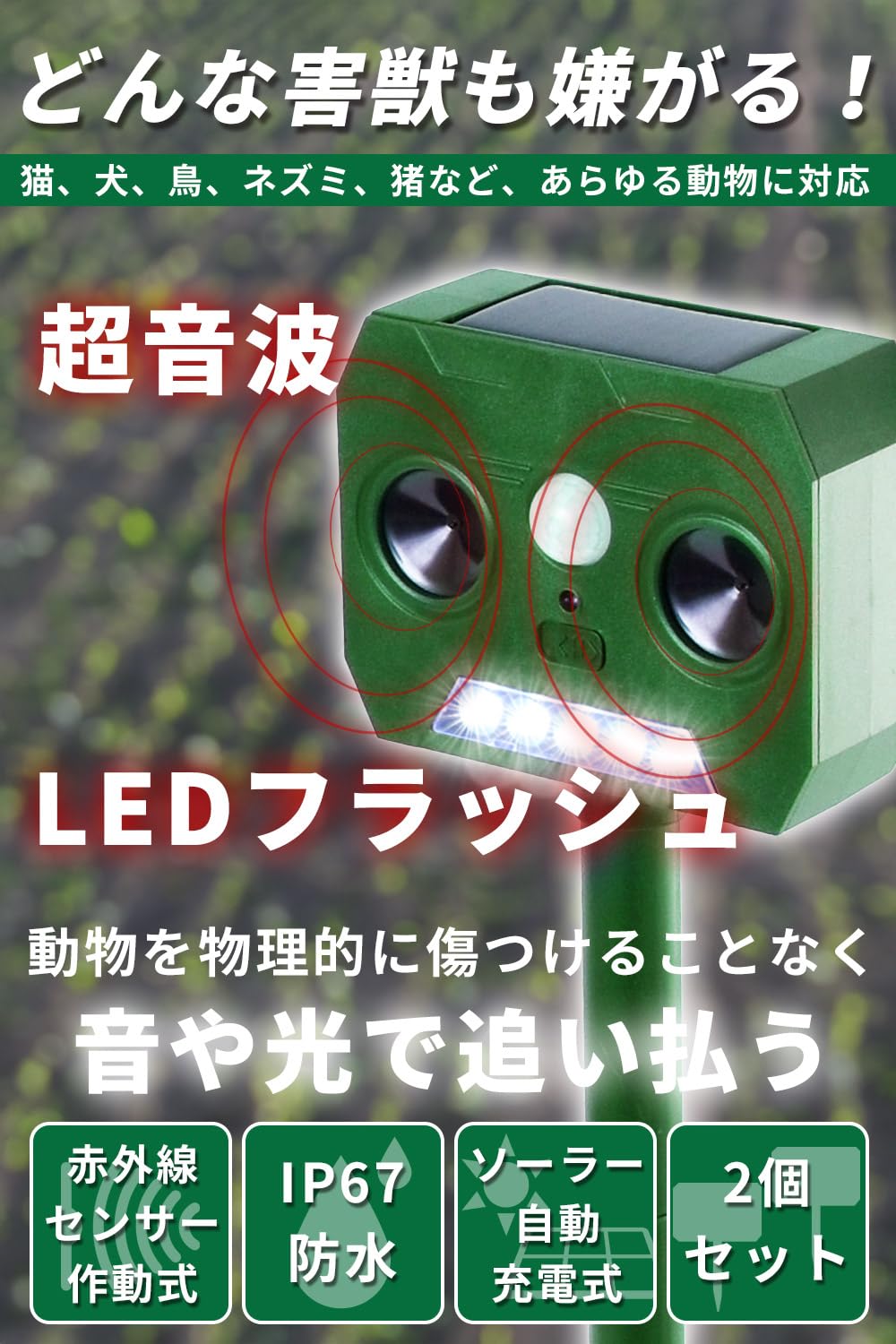 Amazon.co.jp: 動物撃退器 2個セット(13kHz-50kHz)【ネズミ,猫,熊