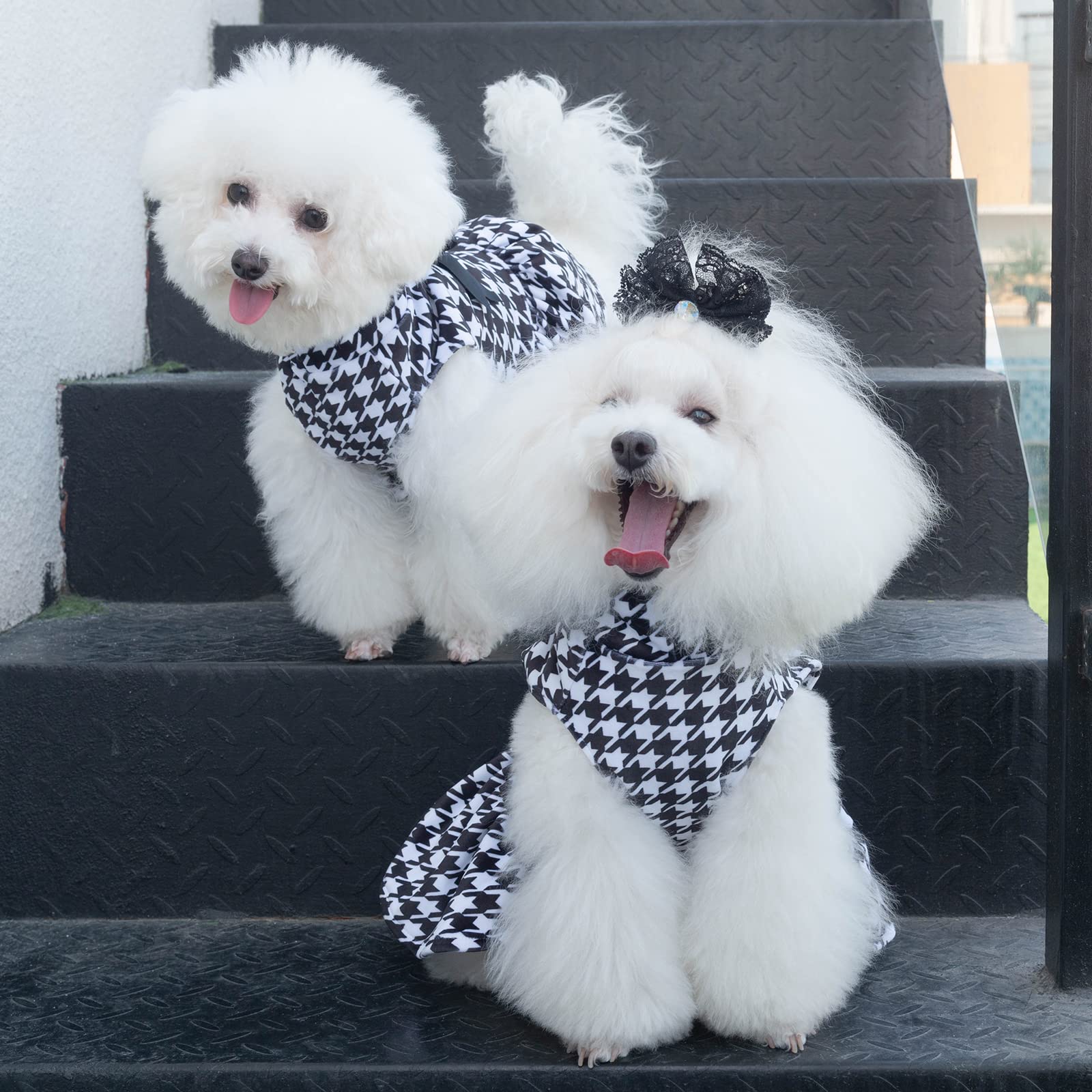 CuteBone costume cane velluto dolcevita cucciolo vestito con fiocco regalo compleanno CVD04S-IT