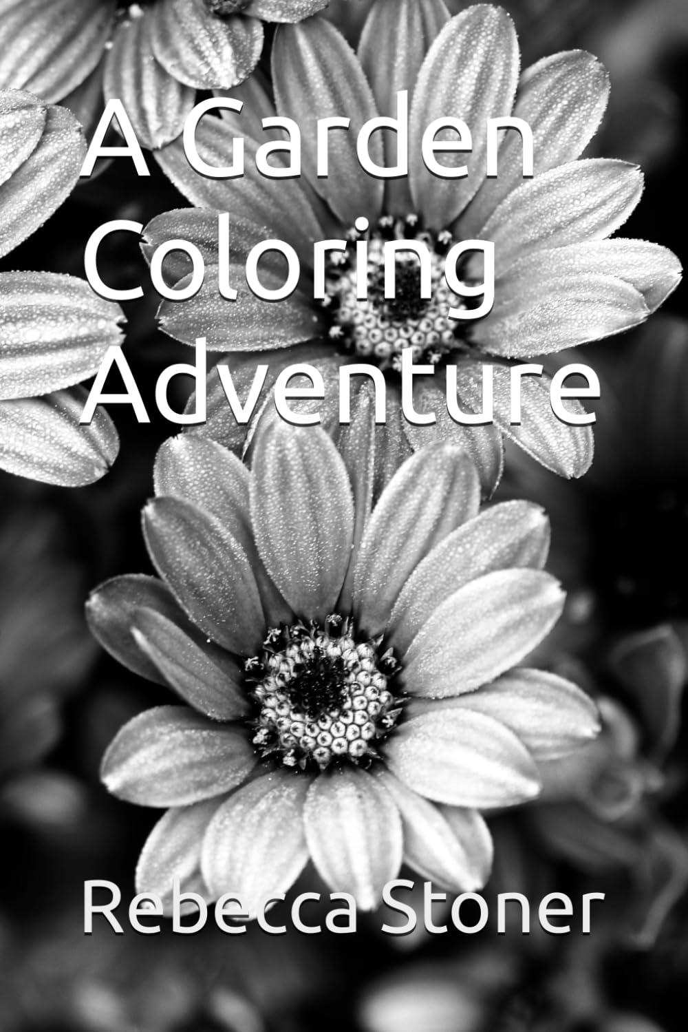 A Garden Coloring Adventure