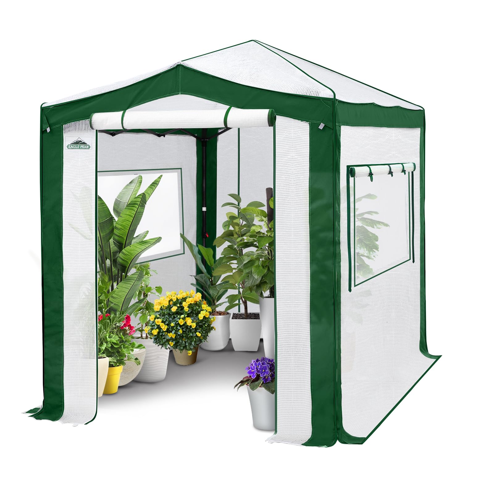 EAGLE PEAK 8x6 Pop-Up Greenhouse