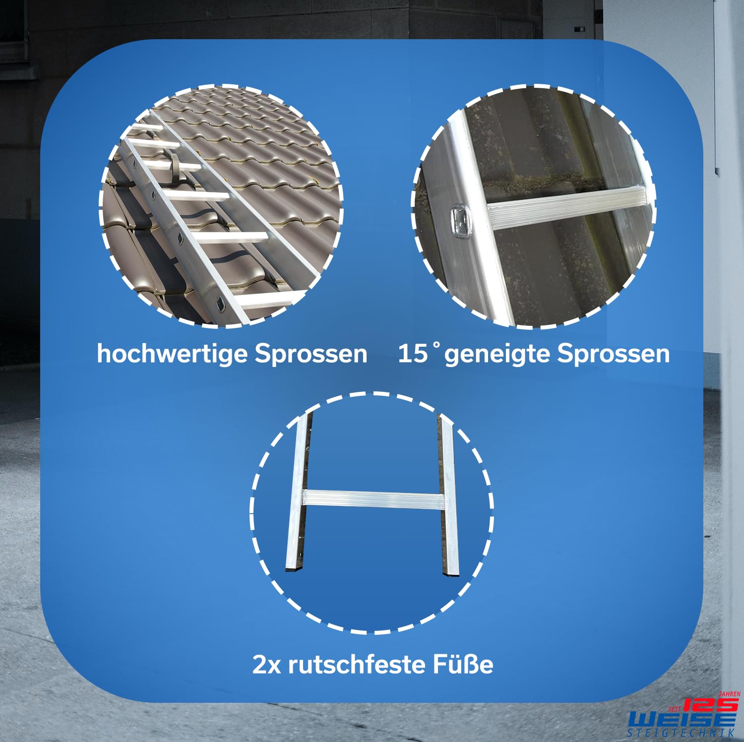 Weise Kaminkehrerleiter 1,96 m einteilig, 7 geriefte & gebördelte Sprossen, robuste & sichere Dachleiter für Schornsteinfeger, passend für handelsübliche Hohlziegel, nach DIN 18160-5/ EN 131