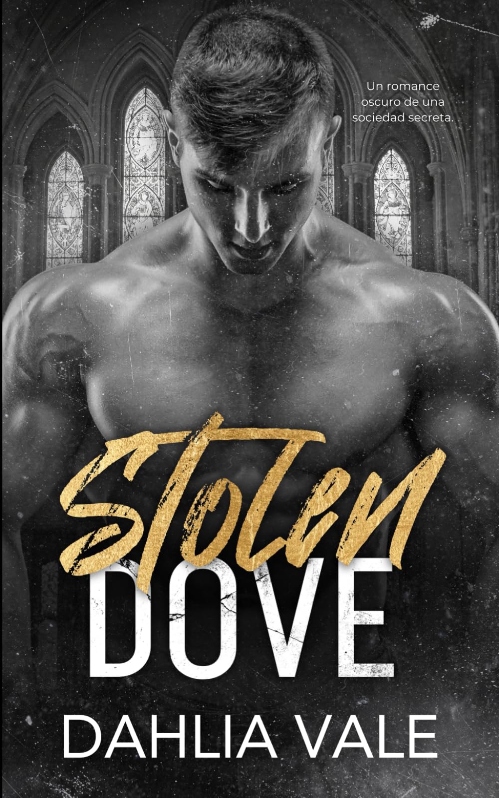 Stolen Dove: Un Romance Oscuro en una Sociedad Secreta (Los multimillonarios oscuros)