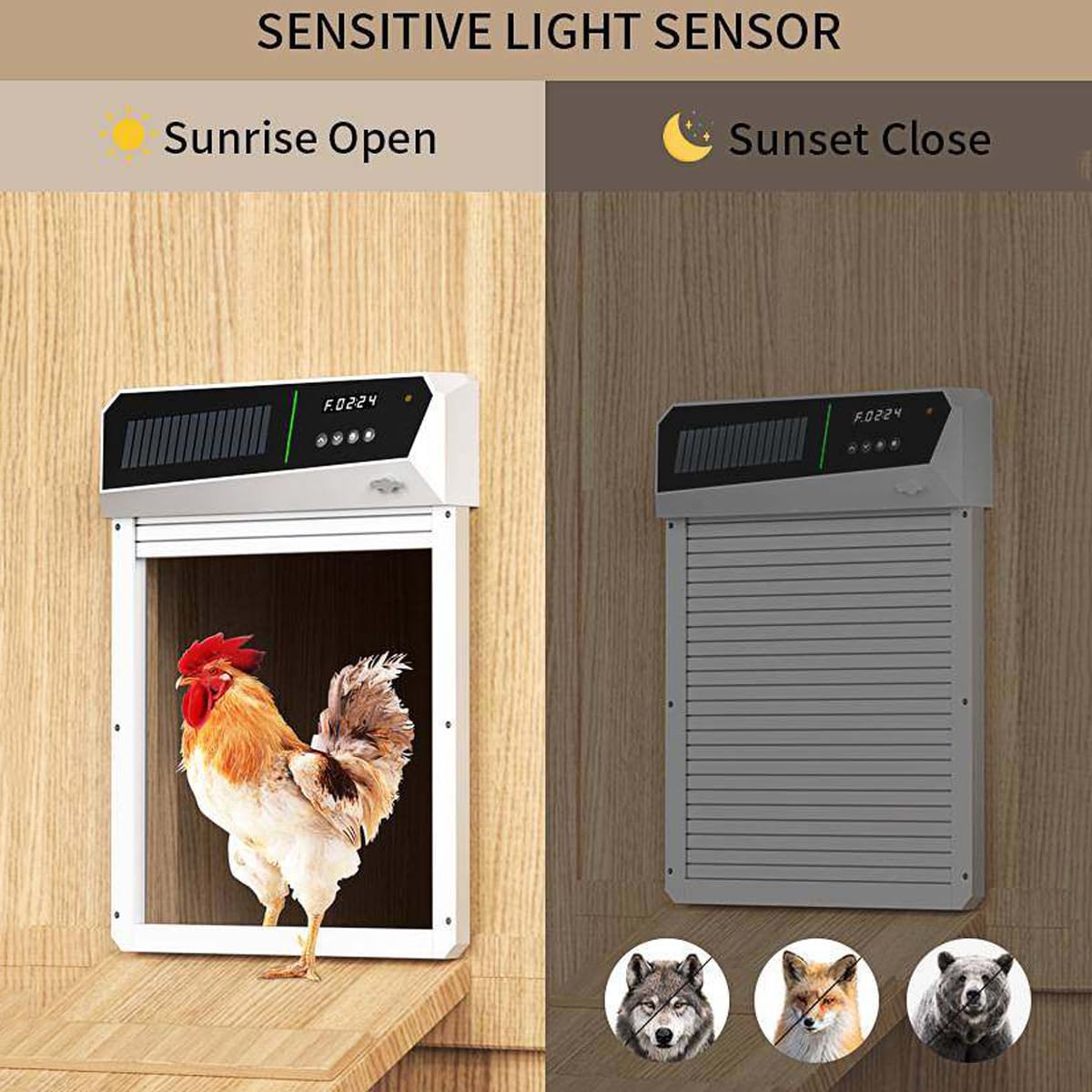 Puerta automática de gallinero con energía solar, diseño de aluminio resistente a la intemperie, temporizador, detección de luz y modos de control remoto para uso en granja y exteriores