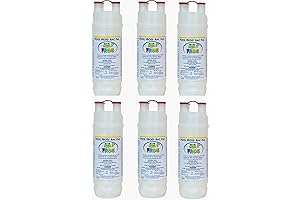 Pool FROG Bac Pacs Pool Chlorine 5400 6100