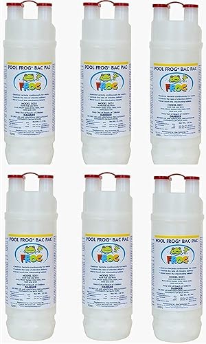 6 Pool FROG Bac Pac prellenado con 2.2 libras de tricloro