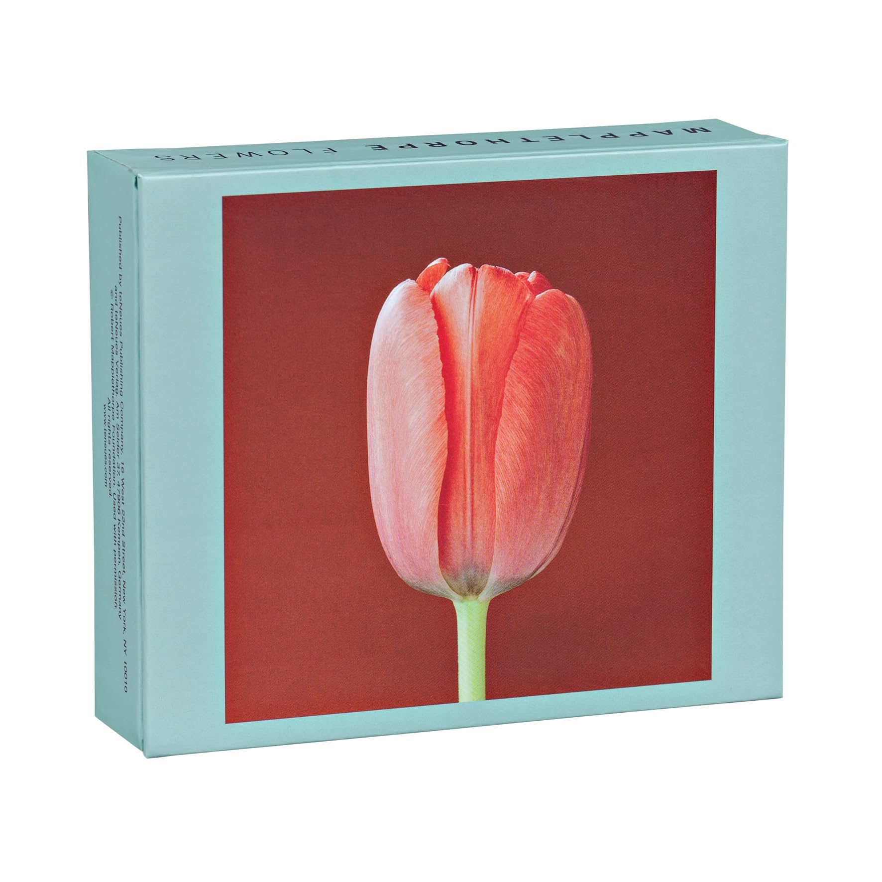 Mapplethorpe Flowers Quicknotes: Greeting, Thank You & Invitation Cards