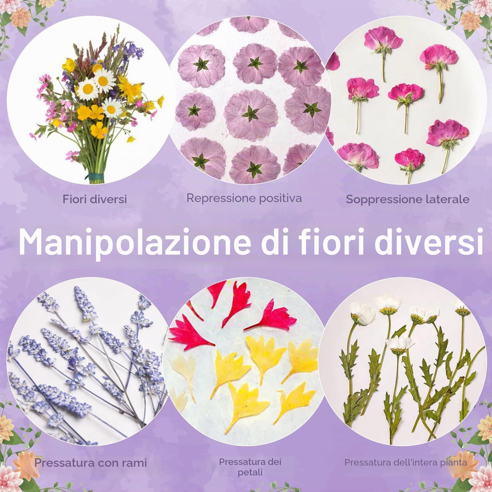 Suziko Large Flower Press Kit per adulti e bambini Kit per la conservazione dei fiori e delle piante Misura 10,8" x 6,9" Suziko Leaves Press & Flower Press è un grande regalo per gli amanti