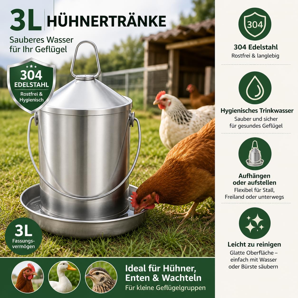 Abreuvoir de Poulet 3 L, Acier Inoxydable 304, sans BPA, Distributeur d'eau pour volaille