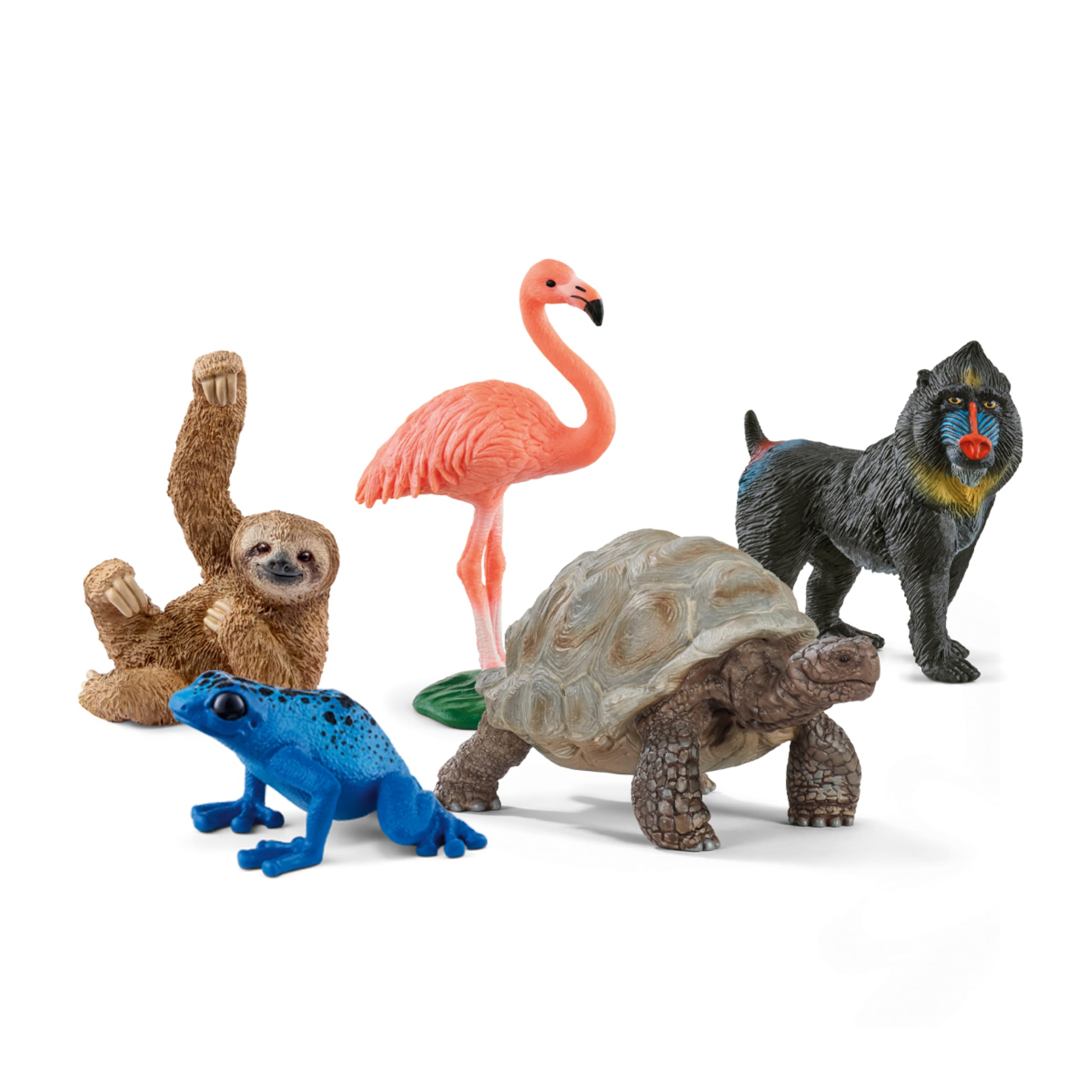 Schleich - シュライヒ schleich 動物 フィギュア 5点 Amazon.co.jp: Schleich Wild Life - エキゾチックアニマル