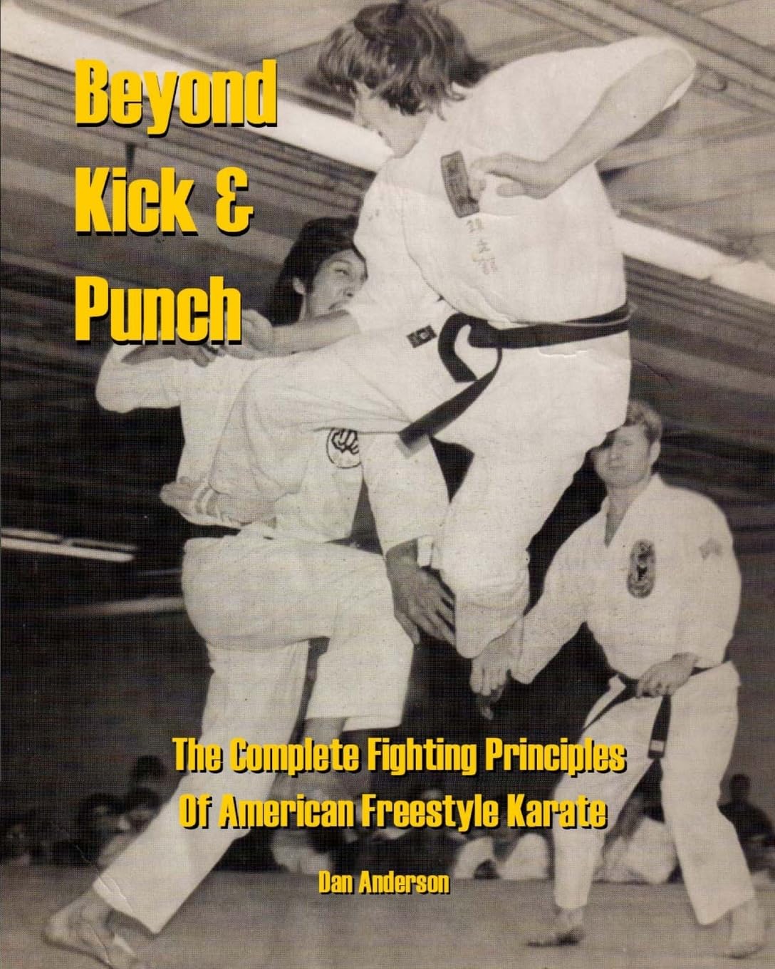 Beyond Kick & Punch: The Complete Fighting Principles of American Freestyle Karate
