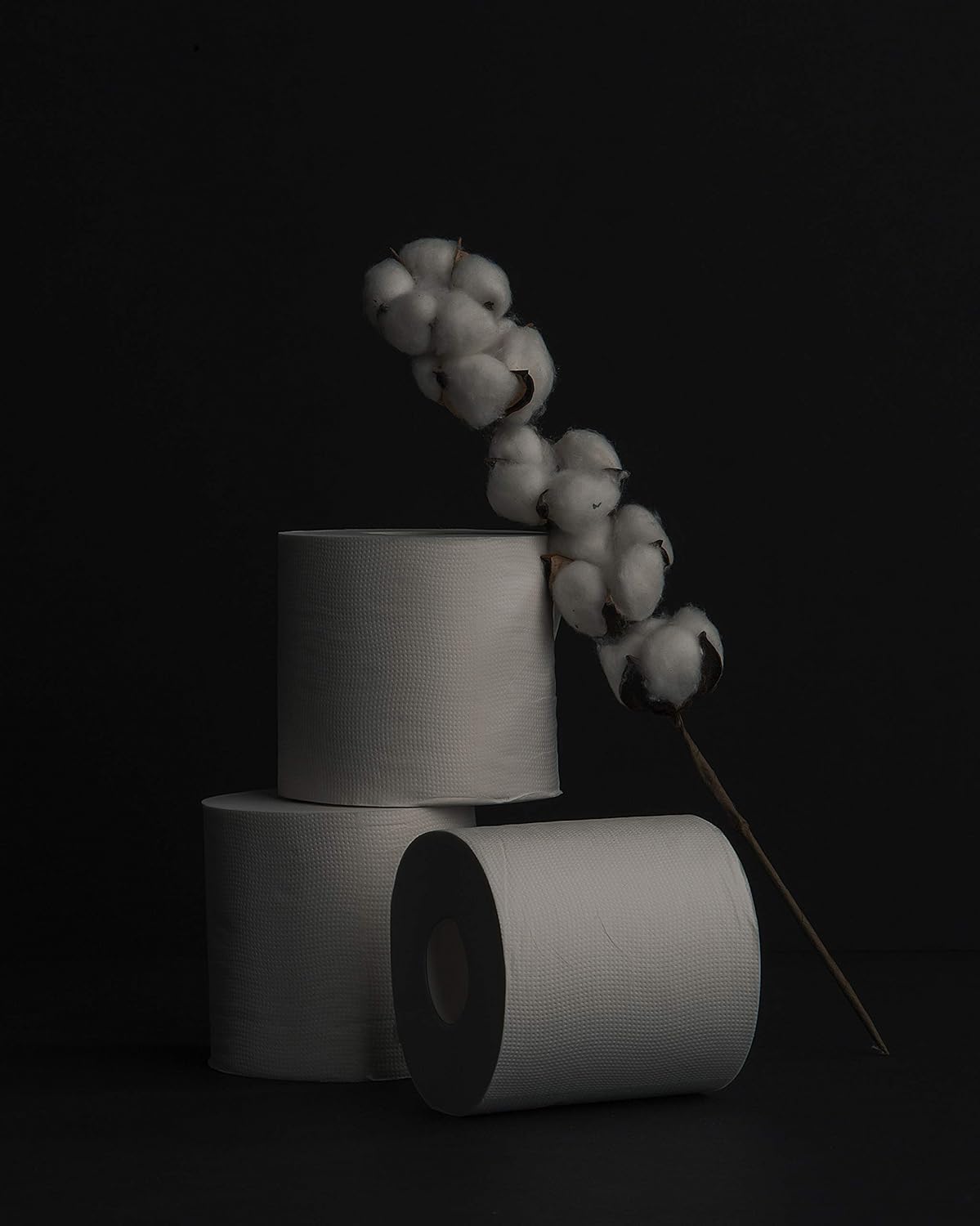 LUXSOFT Premium 3-Ply Luxury Toilet Paper 10-Pack - Septic, RV, and Boat Safe with Quick Dissolving Material (10 Pack (60 Rolls)) white | 3-Ply, Luxury, Quick Dissolving, RV Safe