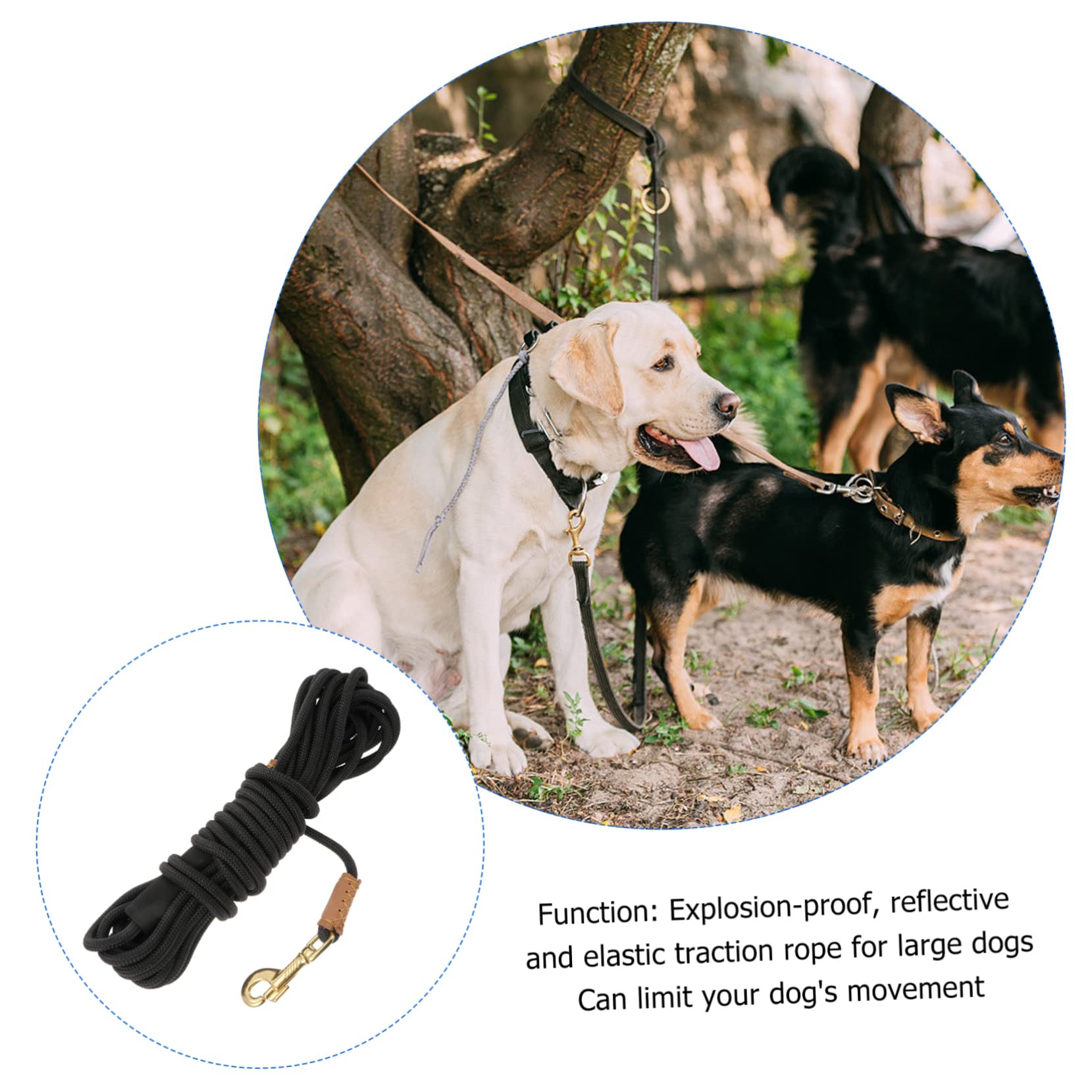ifundom Correa De Tracción para Mascotas 10m Nylon Resistente Paseo y Entrenamiento