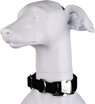 Blue-9 Secure Pro, Quality Adjustable Dog Collar, Metal Buckles, Black, M/L