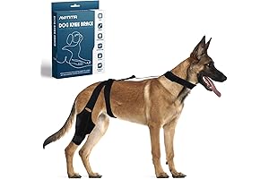 Advanced Dog Brace for Hip Dysplasia - Joint & Back Leg Support