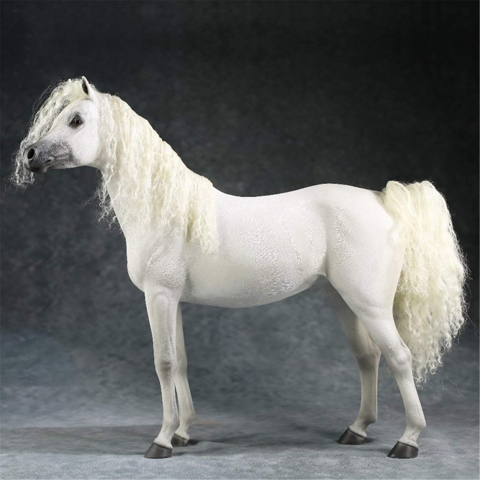 71ZWDiAZX3L.jpg