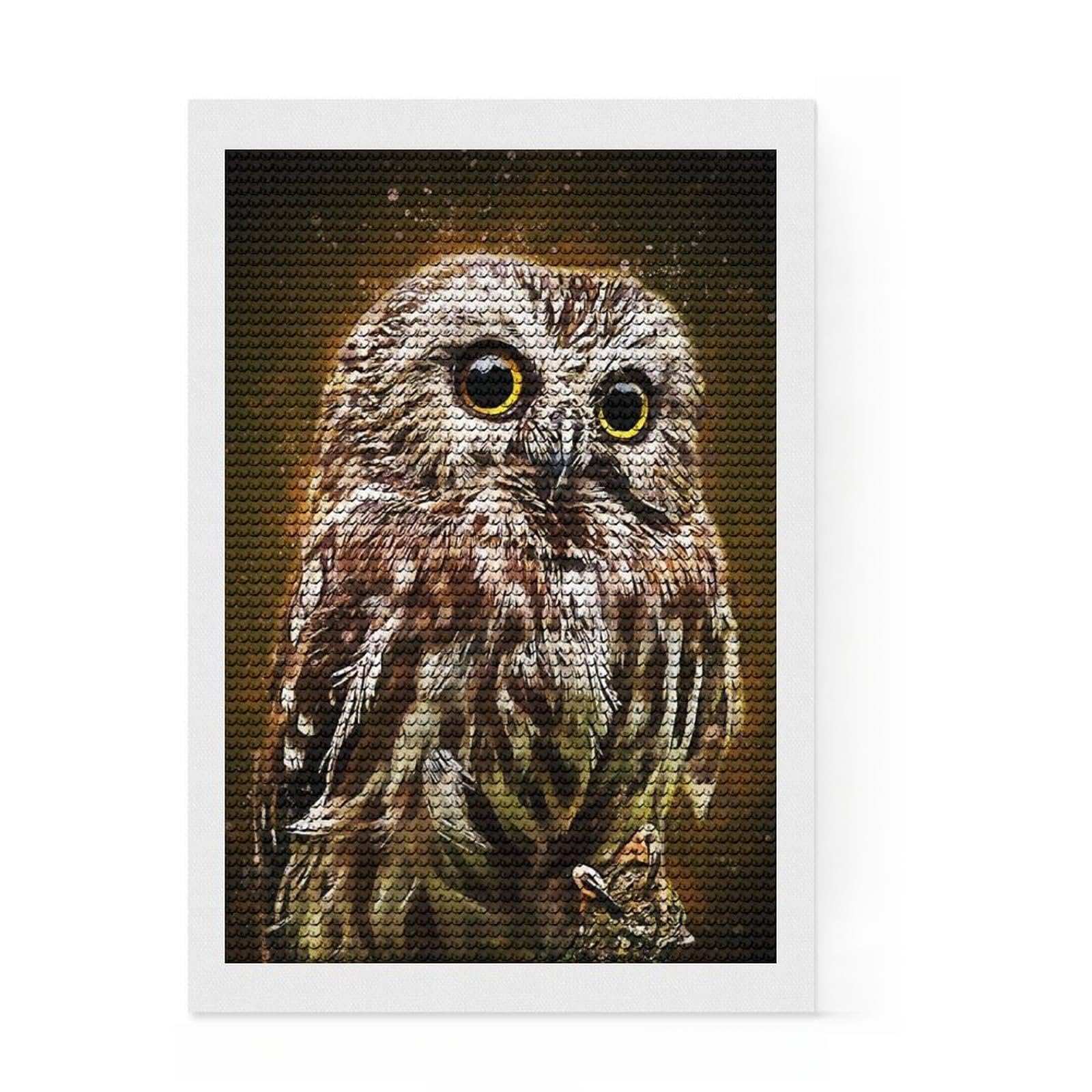 Junmoney The Owl Diamond Painting Kit 8"x12", Aesthetic Room Decor, Christmas Gift, Farmhouse Decor, Holiday Gift Idea