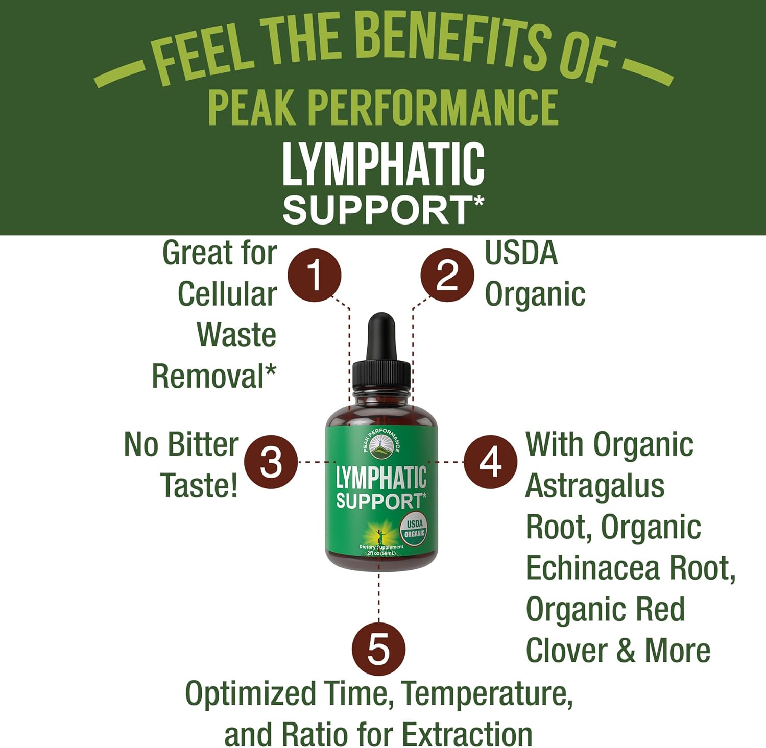 USDA Organic Lymphatic Drainage Drops. Sugar Free, Tasty 6-in-1 Lymph System Support for Detox, Cleanse. Vegan Supplement with Astragalus, Echinacea, Red Clover, Cleavers Herb, Licorice & Burdock Root - Image 2