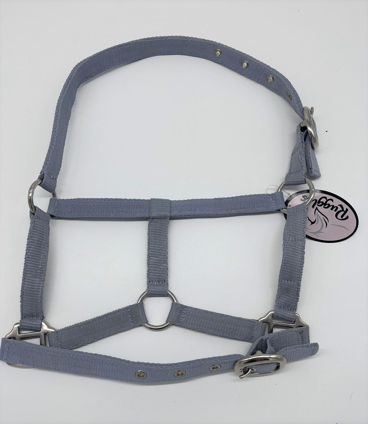Ruggles Head Collar for Shetland Pony and Miniature Horses | Durable and Adjustable | Ideal for everyday use (Light Grey, Shetland)