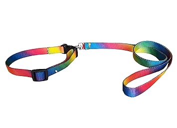 Pet Needs Nylon Colourful Rainbow Leash and Adjustable Collar Set for Puppy- for Tracking, Patrolling, Walking, and Training -Length- 46 inches, Width-0.6 inch