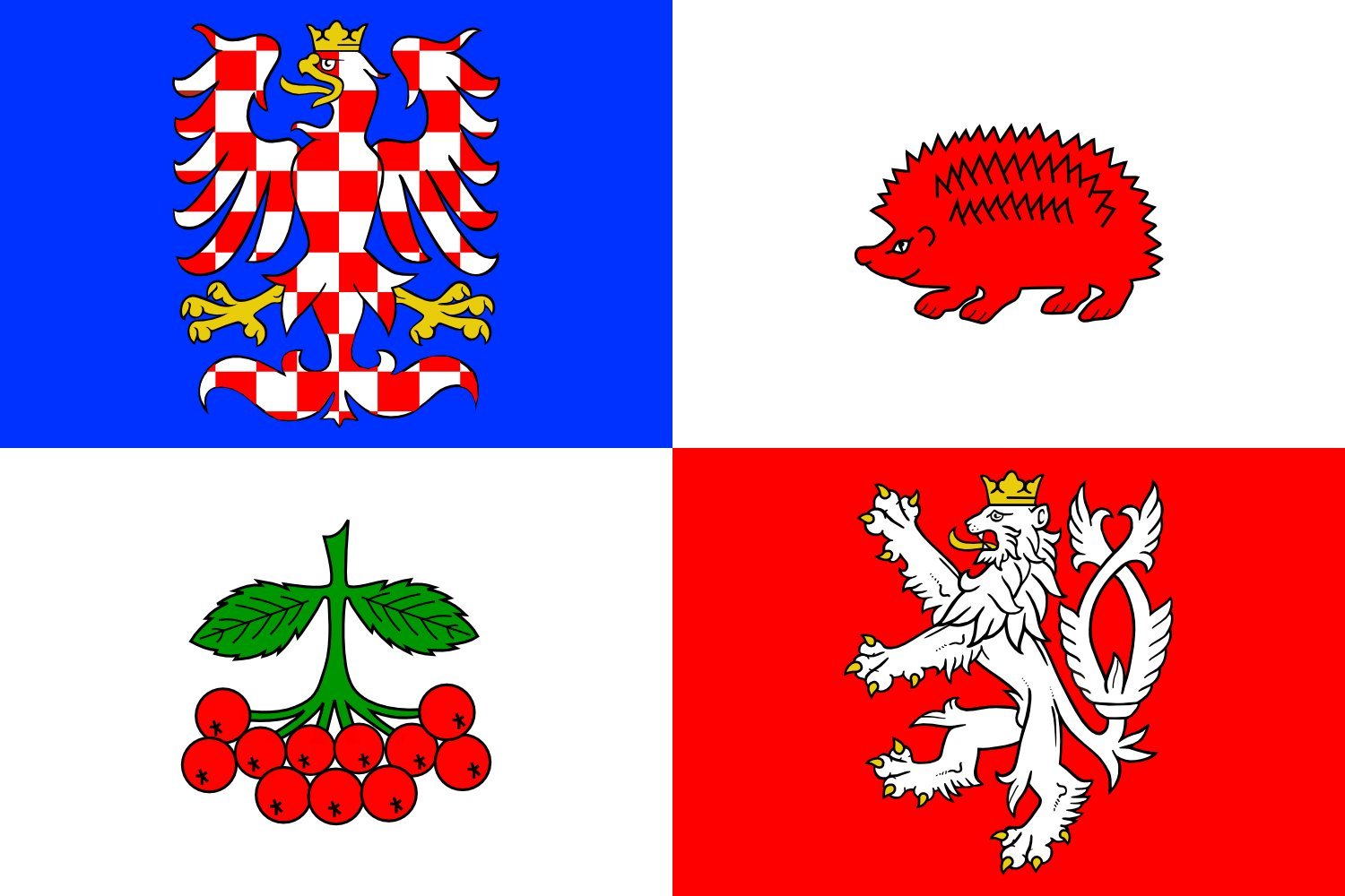 Drapeau Large Région de Vysočina en maille bloquée haute résistance