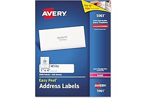 Avery 5161: The Ultimate Mailing Assistant