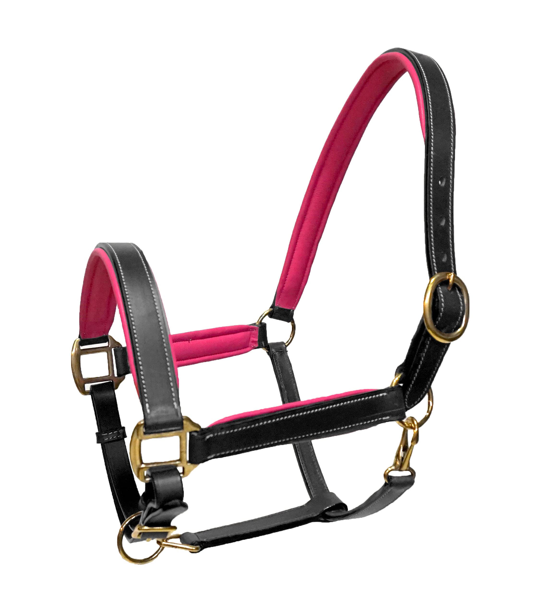 Equitem Leather Halter with Color Padded Crown and Nose with Brass Hardware