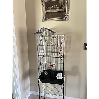parrot cage kijiji