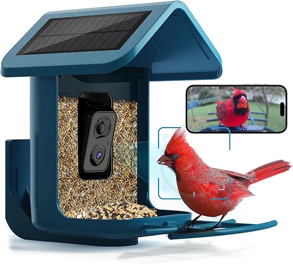 Bird Feeder with Camera Solar Powered : Smart Camera Bird Feeder 2K Live Feed Cam for Outdoor Backyard - AI Identify Auto Capture Videos Pictures, Gifts for Birdlover Mom Dad, 2.4GHz WiFi