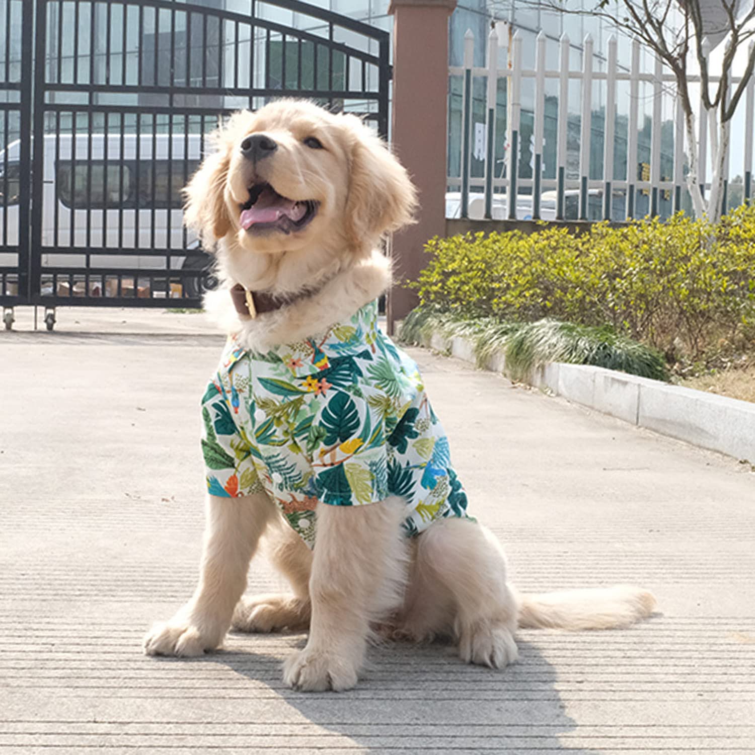 Hunde-Shirt, Hawaii-Stil, Sommerkleidung, cool, atmungsaktiv, Kostüm, Strand-T-Shirt für mittelgroße und große Hunde, 4XL