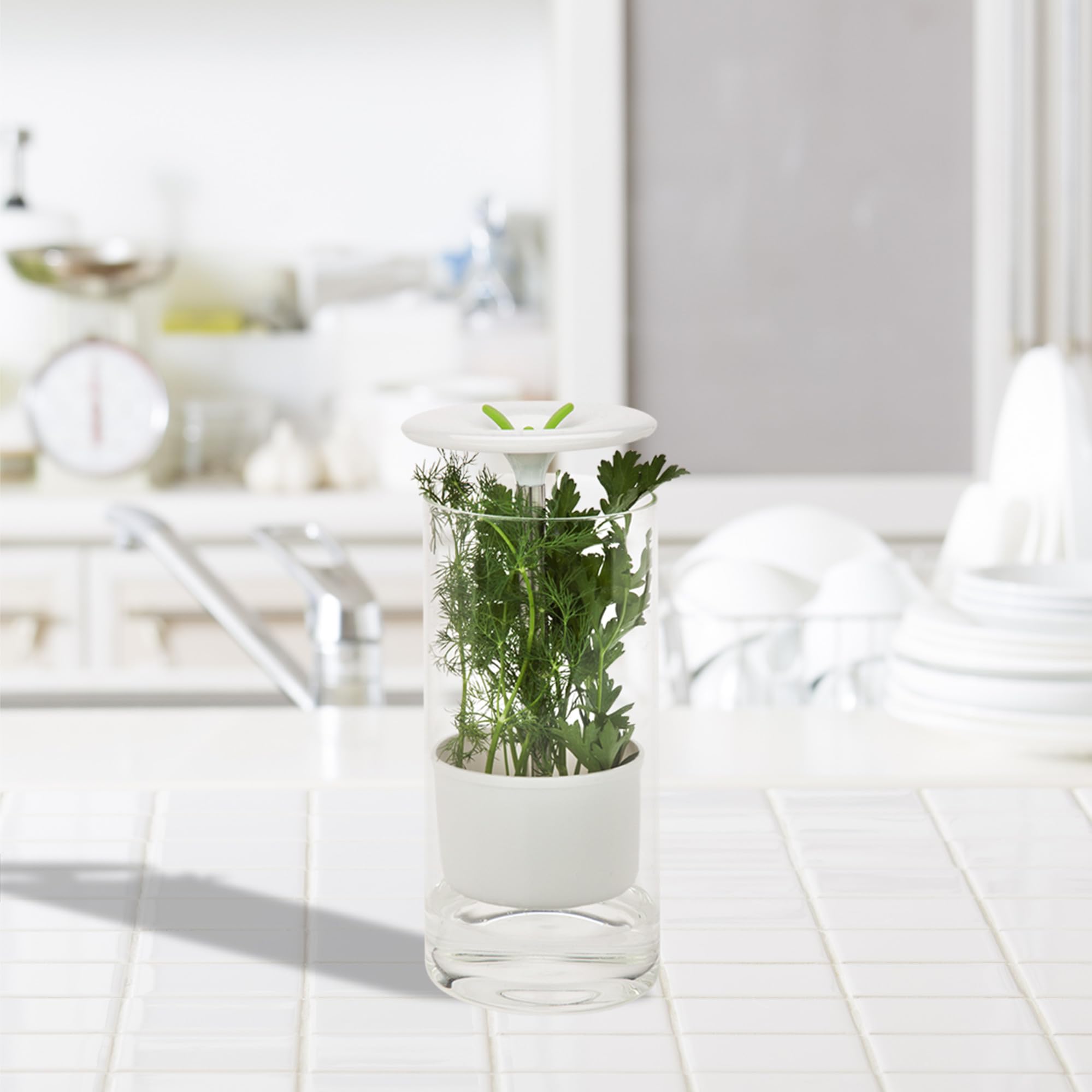 Honey-Can-Do KCH-06398 szklany słoik do ziół, przezroczysty/biały