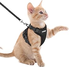 rabbitgoo Anti-Escape Cat Harness with Leash, Adjustable Cat Leash, Reflective Small Dog Harness, Breathable Mesh Adult Cat Harness for Walking, Black, XXS