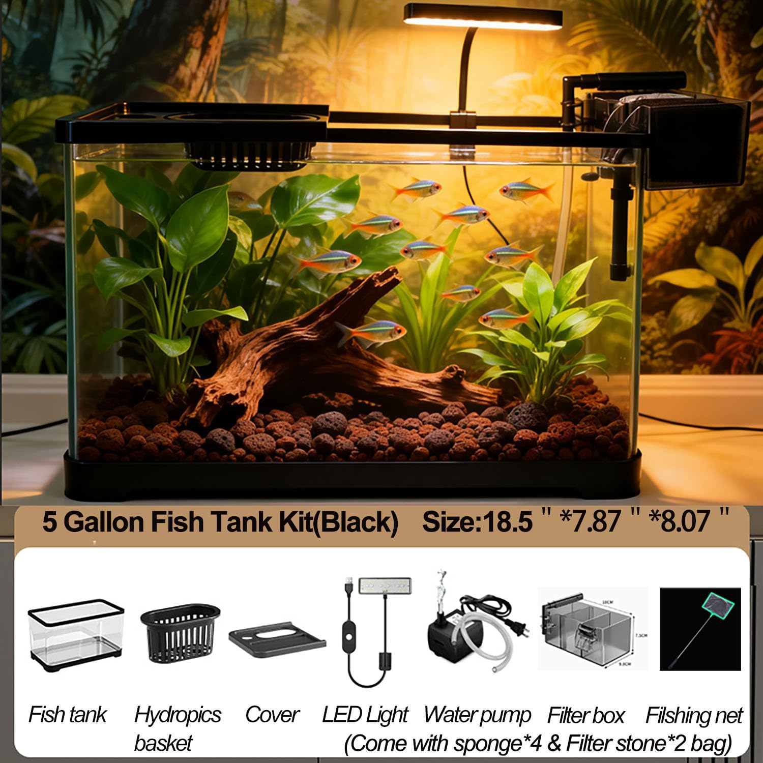 5 Gallon Fish Tank, Aquarium Plastic Starter Kit with Filter, led Light, sponge, and filter ball, Fish Tank for Betta, Plastic Nano Aquarium with Lid(18.5*7.87*8.07 inch / Black) (5 Gallon Fish Tank)
