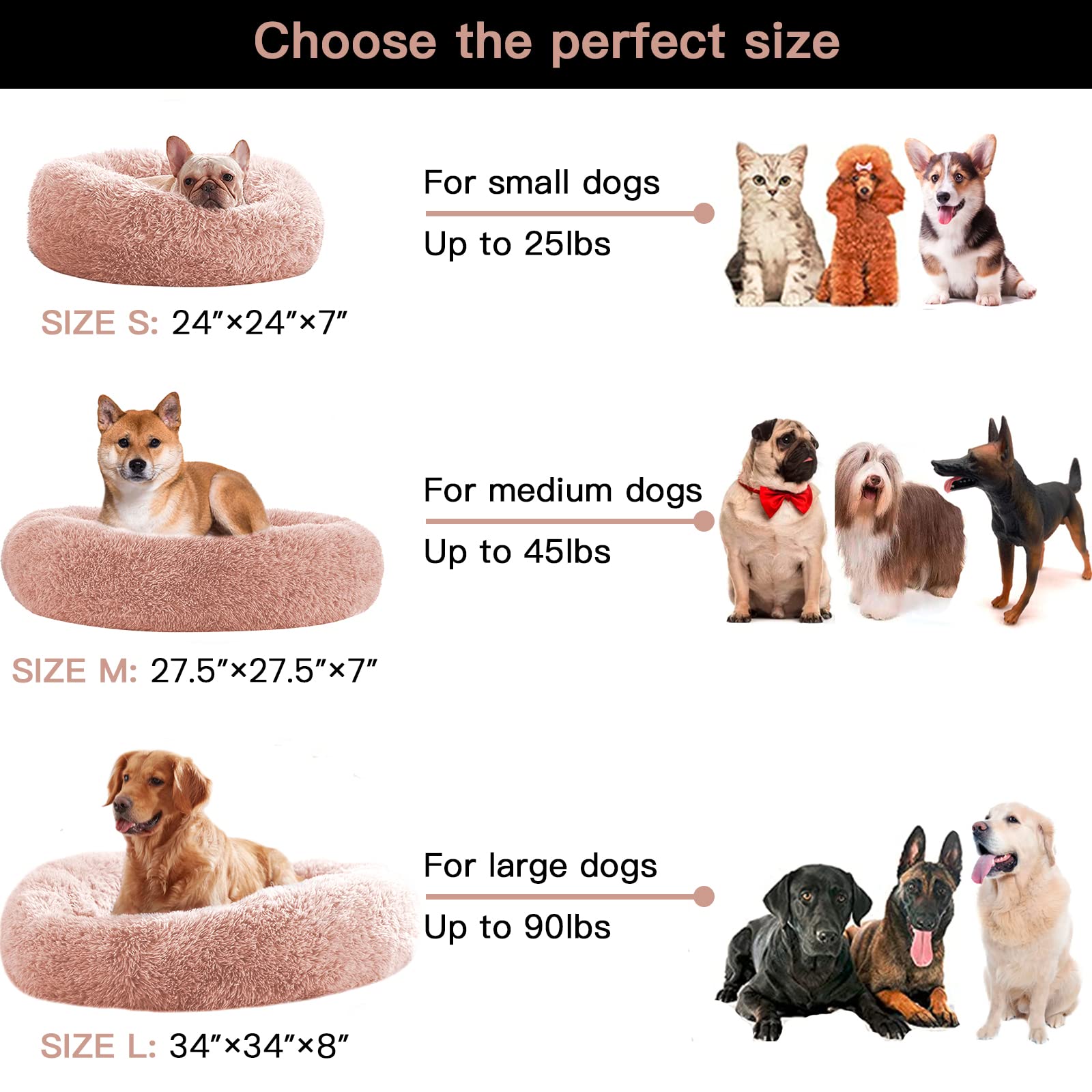 https://m.media-amazon.com/images/I/71ZWUa4b+EL.jpg