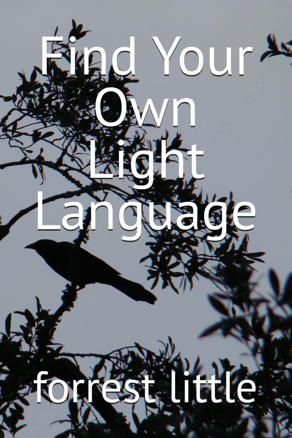 Find Your Own Light Language