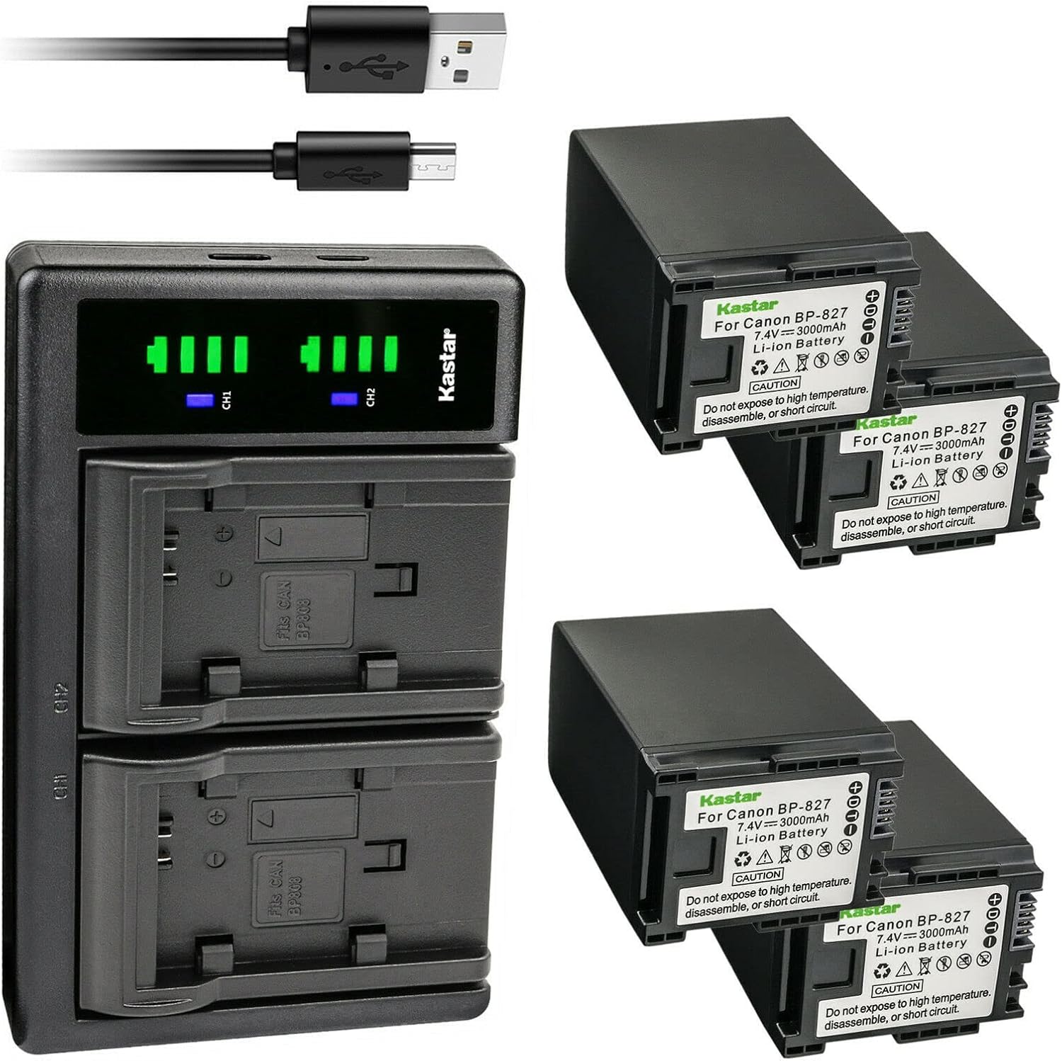 Kastar 4-Pack Battery and LTD2 USB Charger Replacement for Canon BP-809 BP-819 BP-827 Battery, Canon VIXIA HF11, VIXIA HF20, VIXIA HF21, VIXIA HF100, VIXIA HF200 Cameras