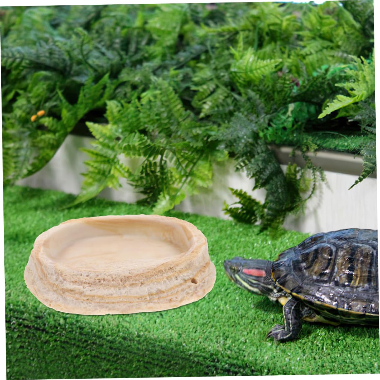 2 Cuencos de Resina para Reptiles Borde Antivuelco, para Geckos y Serpientes en Terrario