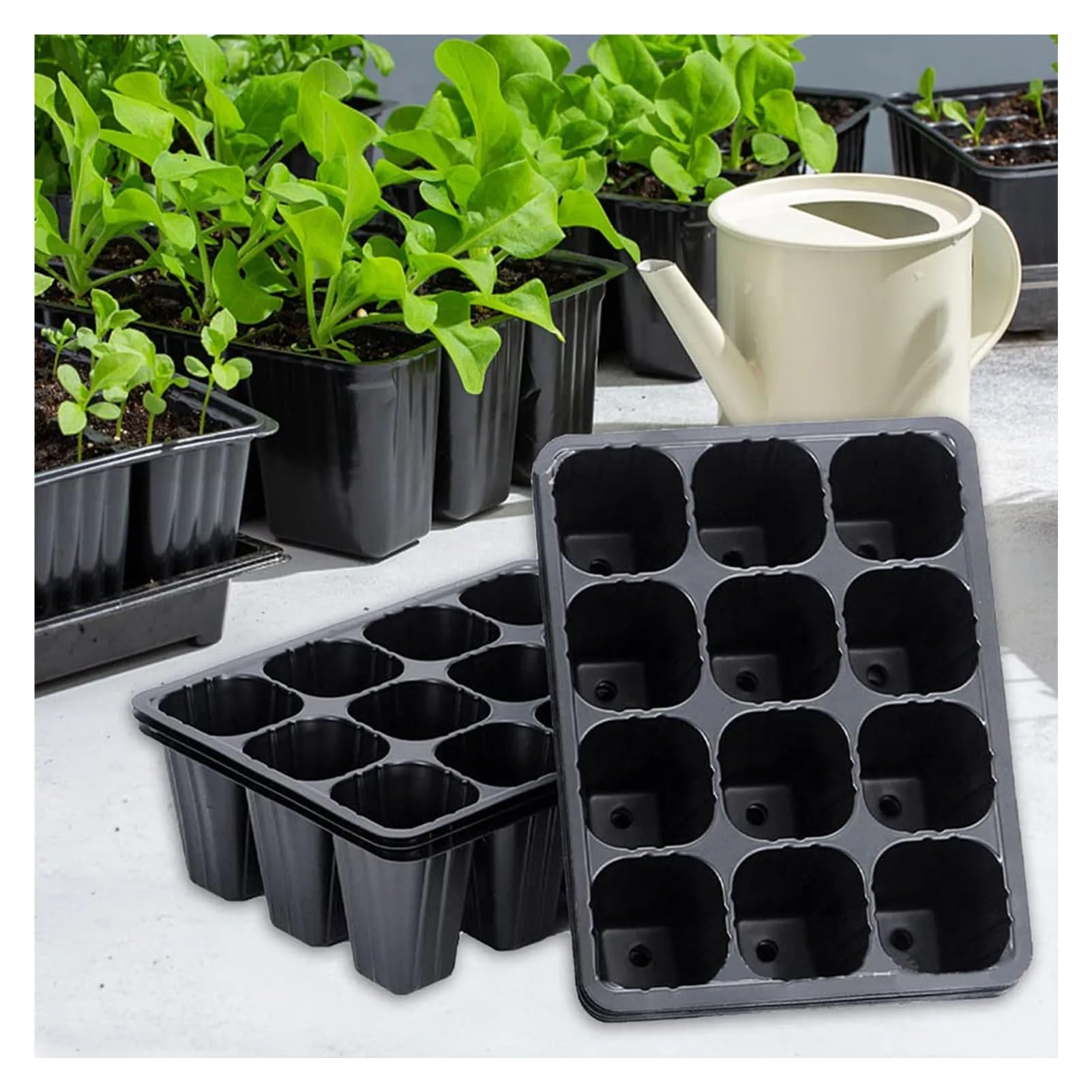 Bandejas for plántulas, 20 Unidades de 12 Celdas for germinación y propagación de Plantas, for hortalizas, Frutas y huertos. Bandejas de plástico for viveros.