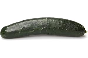 Cucumbers Fresh Mini Organic, 1 Pound