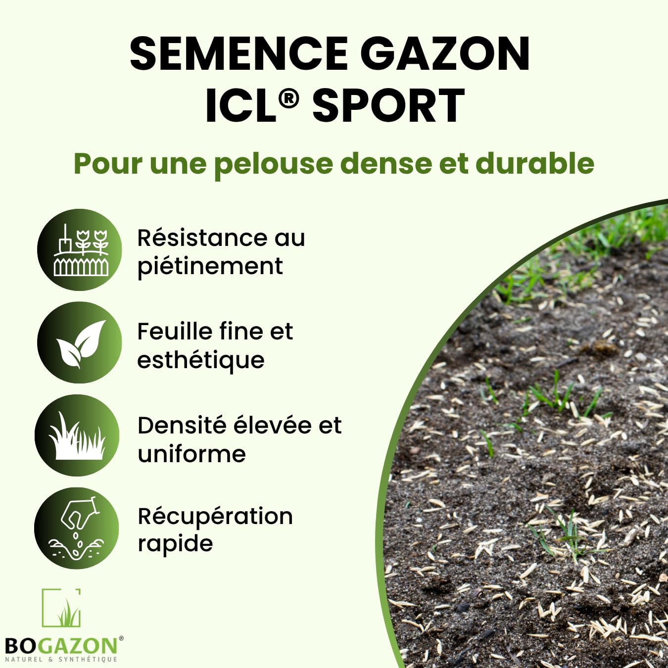 Gazon a semer ICL Sport 10 kg | Graines de Gazon Résistant Piétinement Terrain de Sport & Jardin | Semence Universel Dense et Uniforme