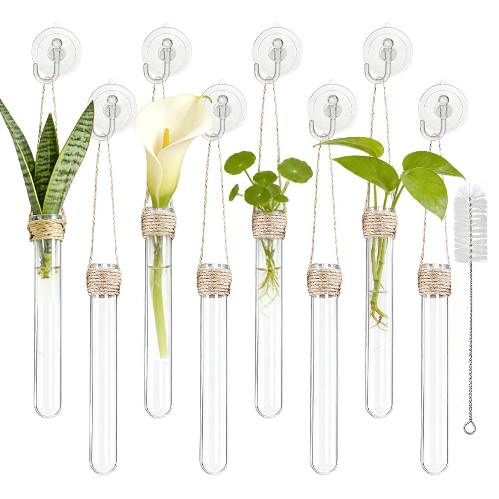 Pot de fleurs transparent avec brosse de nettoyage pour boutures