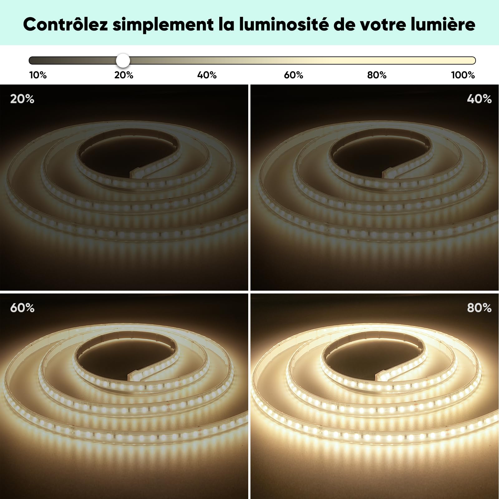 GZBtech Dimmer universale per strisce LED, dimmer da 500 Watt con telecomando, portata di controllo 20 m (spina a 2 pin)