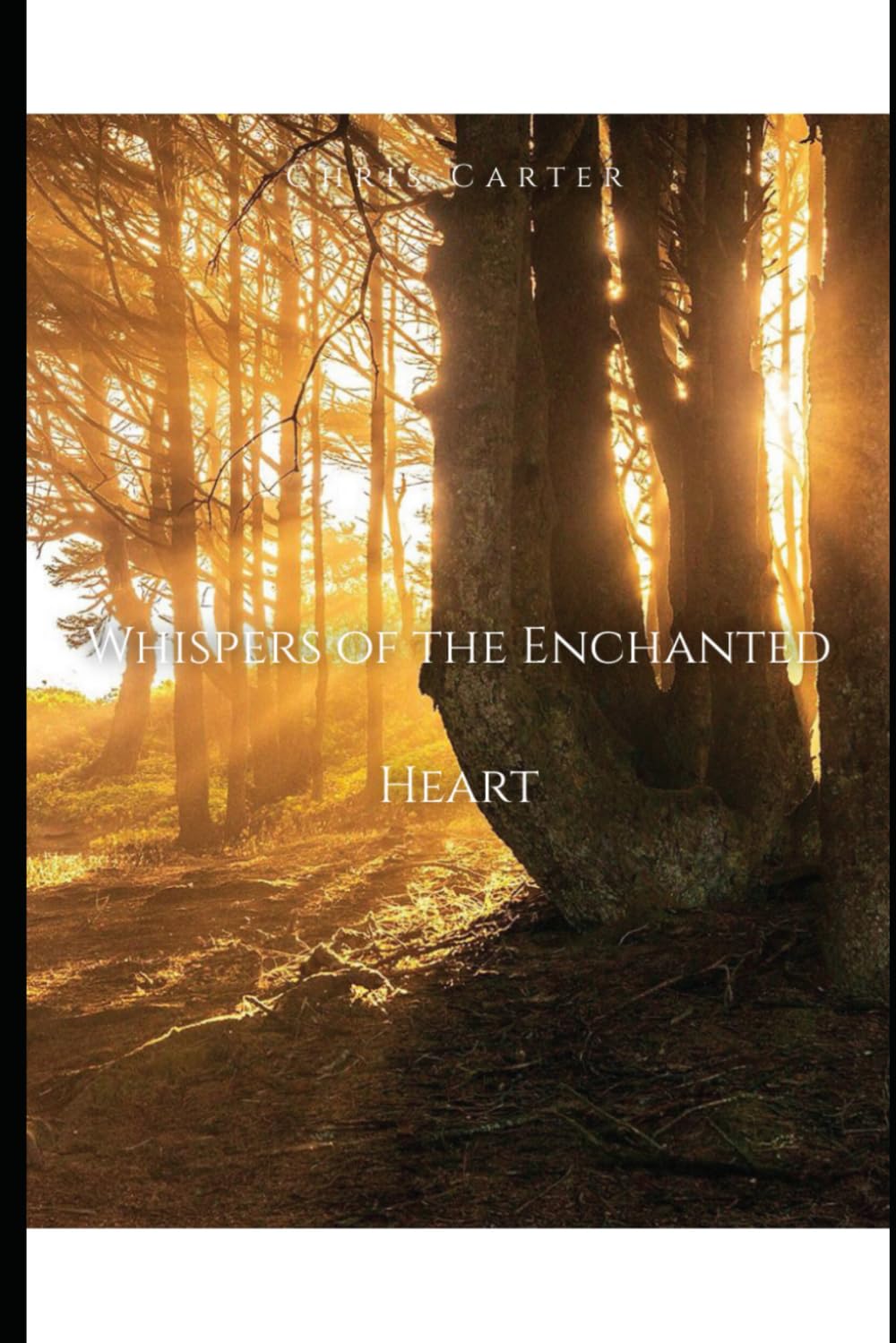 Whispers of the Enchanted Heart