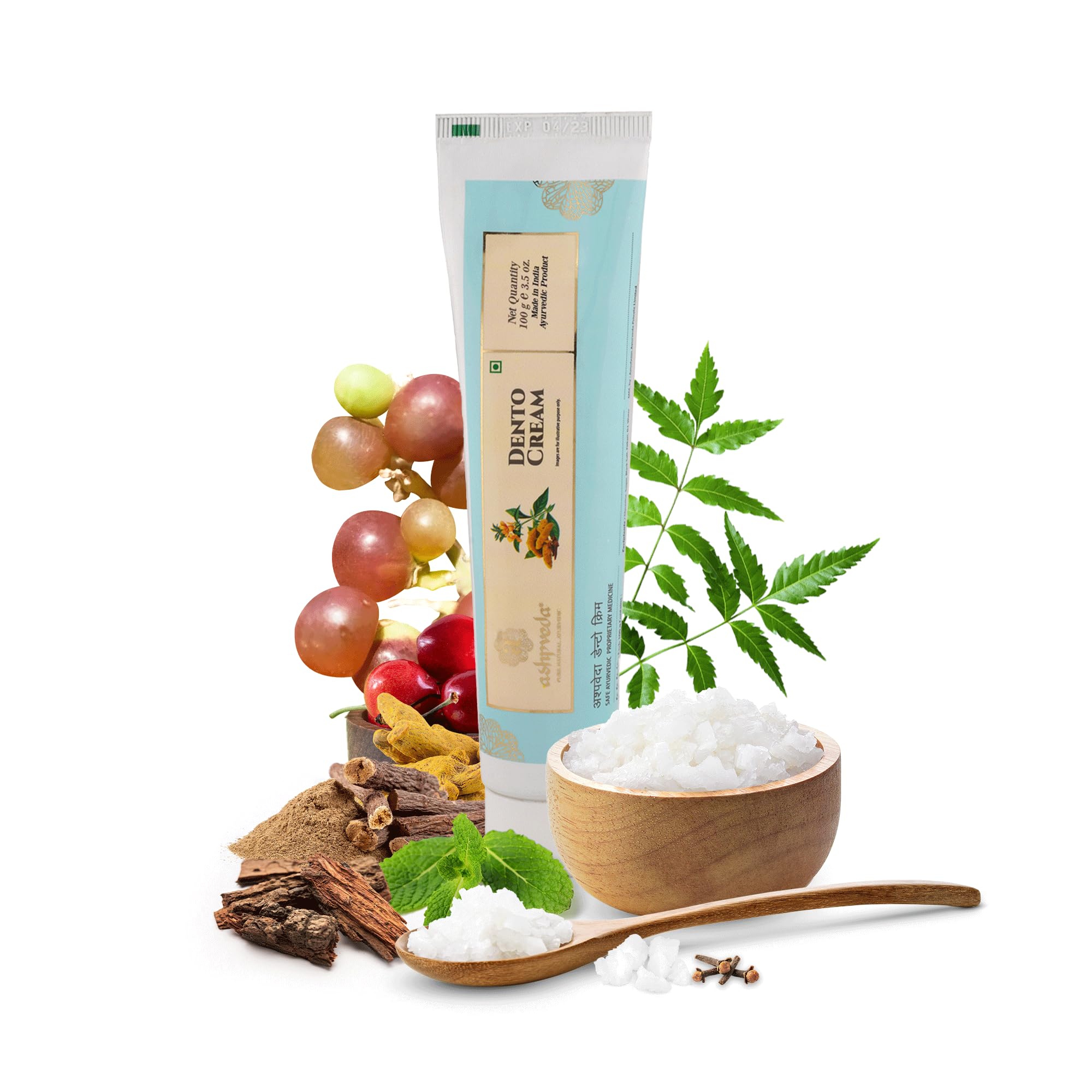 Ayurvedic Toothpaste for Teeth Sensitivity, Bleeding and Swollen Gums - Natural Oral Care Solution for Healthy Gums and Strong Teeth, Combo Pack of 2 (100g X 2)