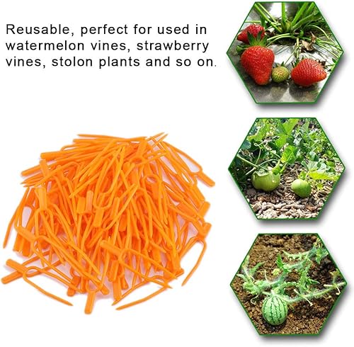 Miniatura 4 de 100 clips de soporte para plantas, tenedor de plantación de fresas, enredaderas reutilizables de melón de estolón, fijador de seguridad, pasadores