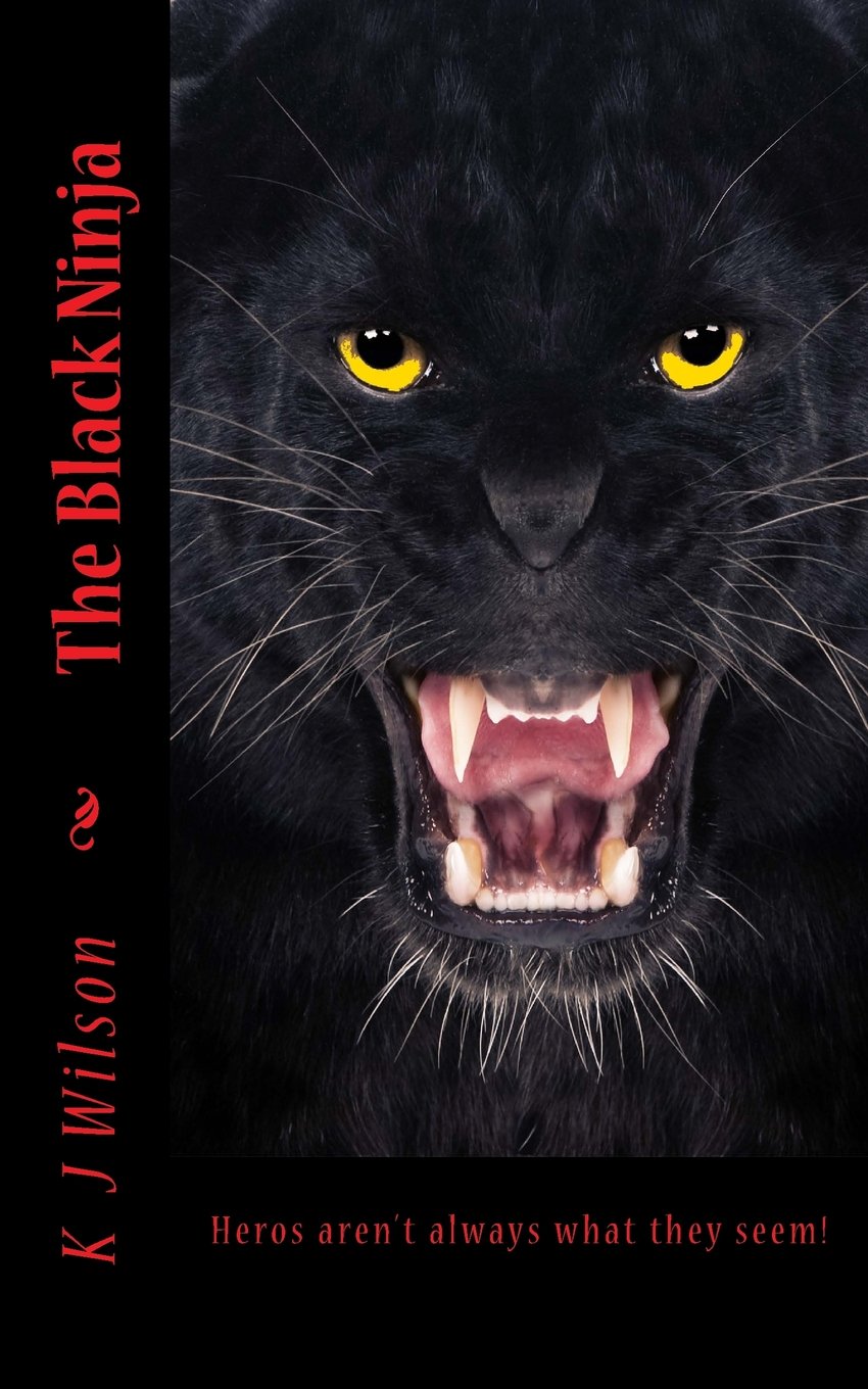 The Black Ninja: Hero's Aren't Always What They Seem!