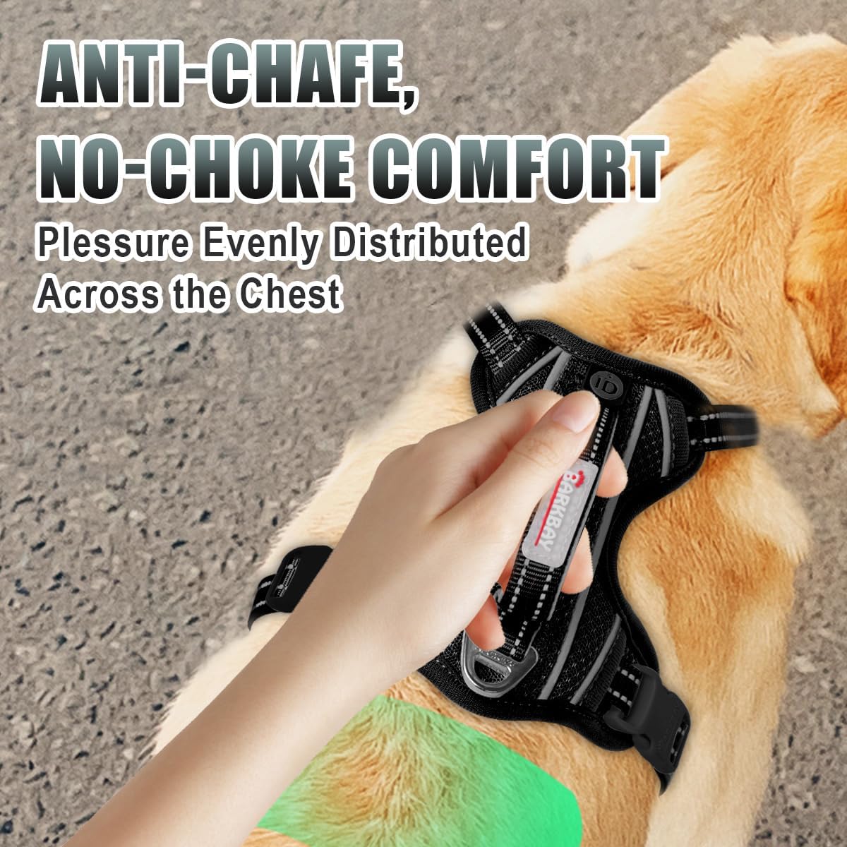 https://m.media-amazon.com/images/I/71ZWs0VdjiL._AC_SL1200_.jpg