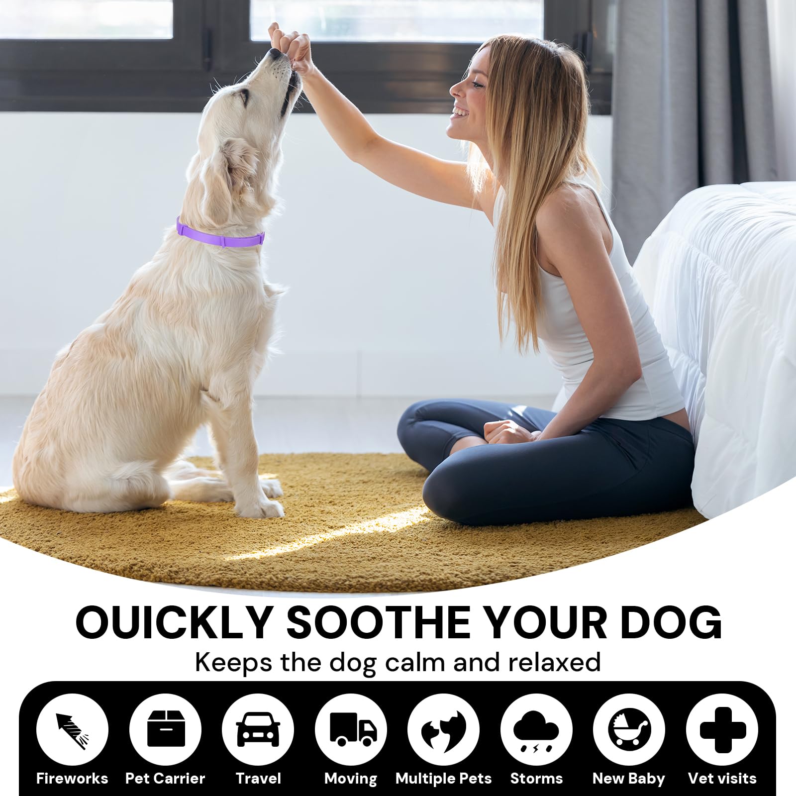 Calming Collar for Dogs 4 Packs - Image 4