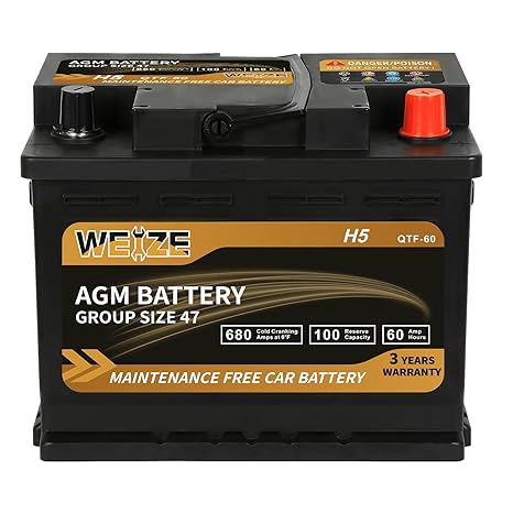 Weize Platinum AGM Battery