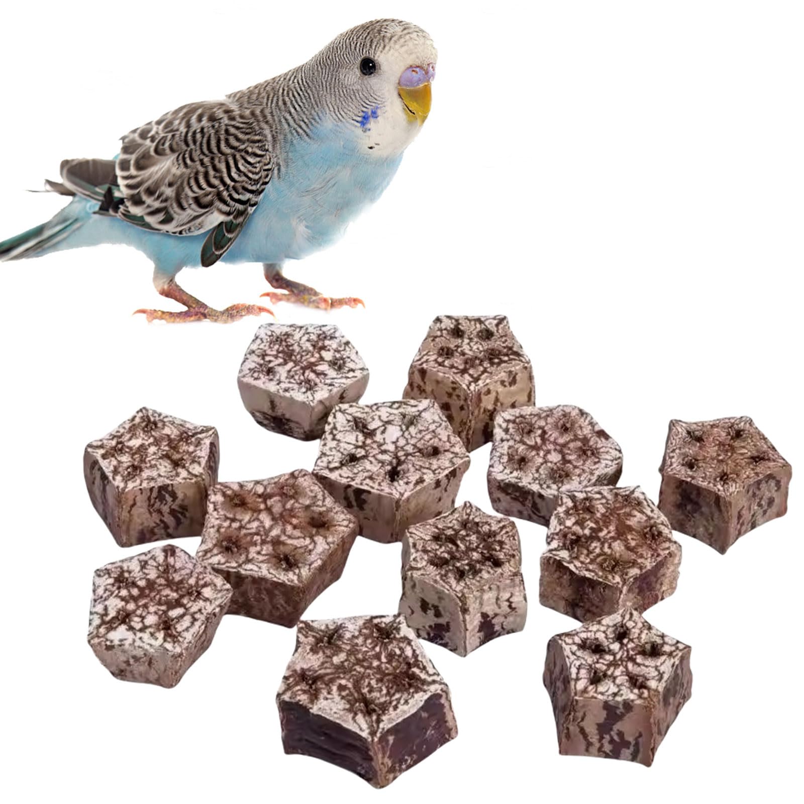 Bird Chewing Foraging Toys