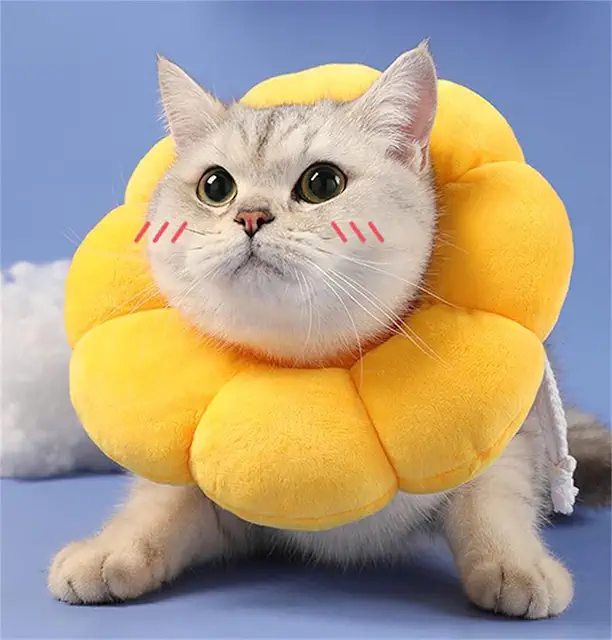 MHwan Elizabethan Cat Collar - Soft Protective Suede Collar for Cats (M)